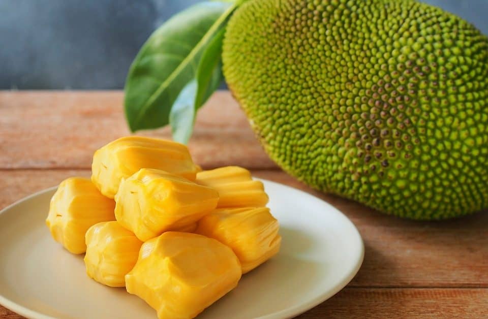 Changrai Jackfruit: A Nutritious Superfood from Thailand