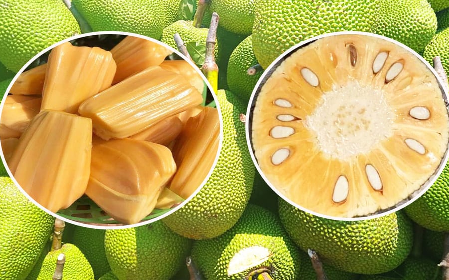 Changrai jackfruit photo