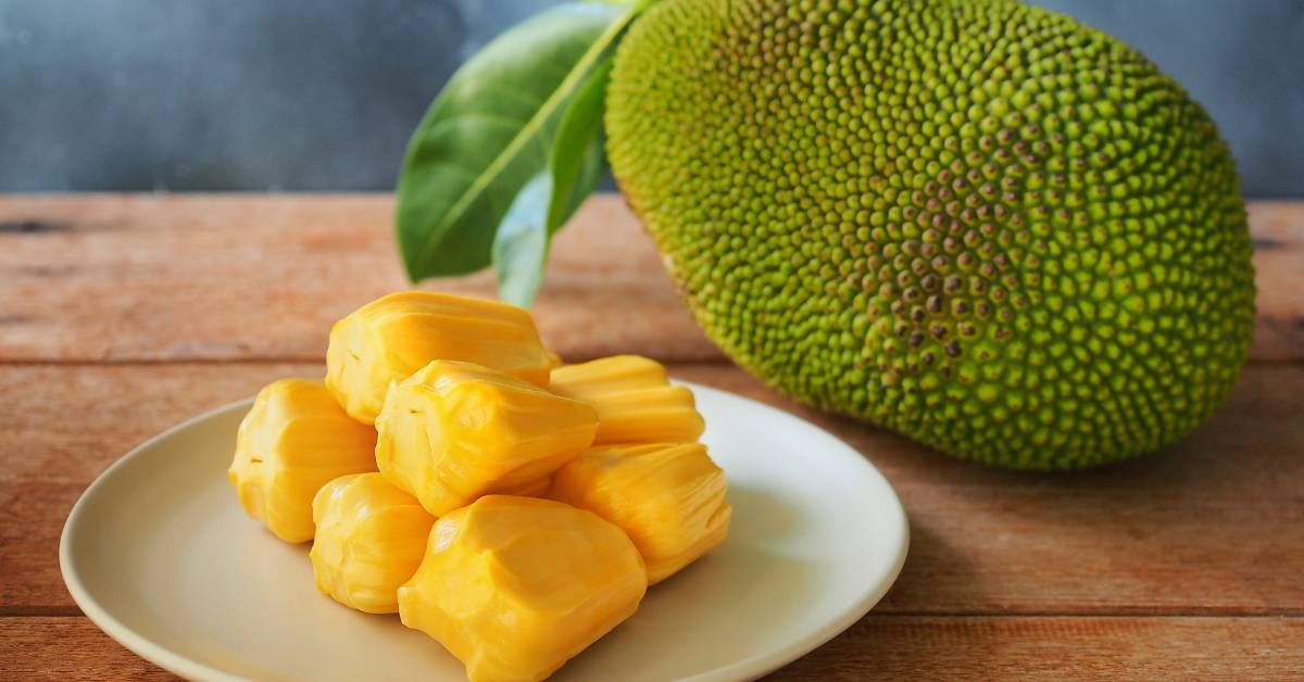 Changrai Jackfruit: طعام مغذي مغذي من تايلاند