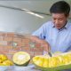 Mr Nguyen Thanh Son - Thanh Son jackfruit