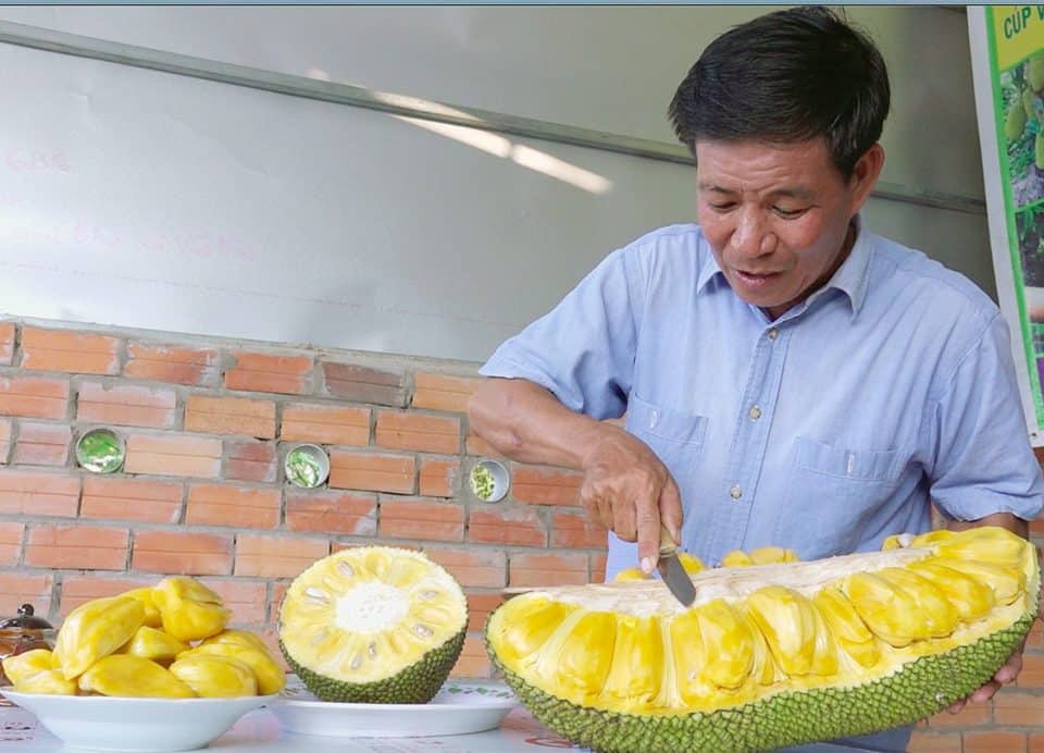 Mr Nguyen Thanh Son - Thanh Son jackfruit