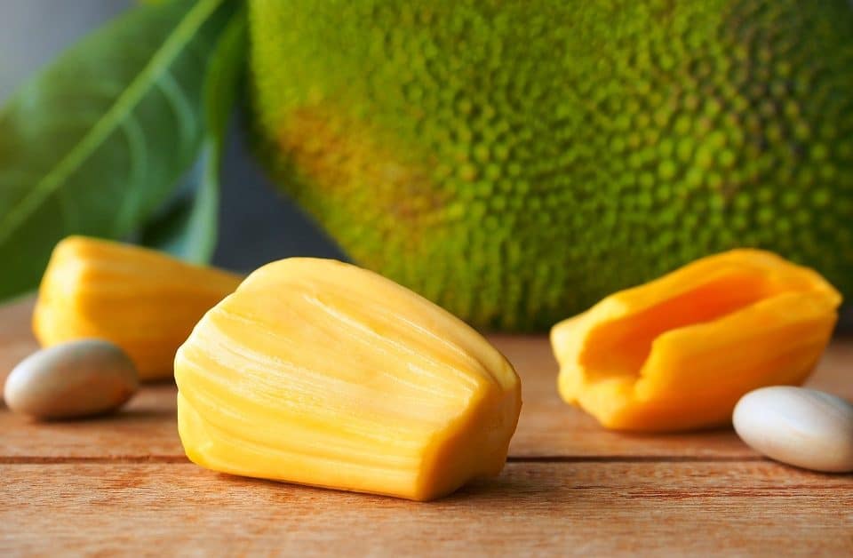 Польза джекфрута, питание и как его есть