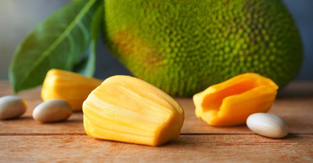 菠萝蜜的好处、营养和食用方法